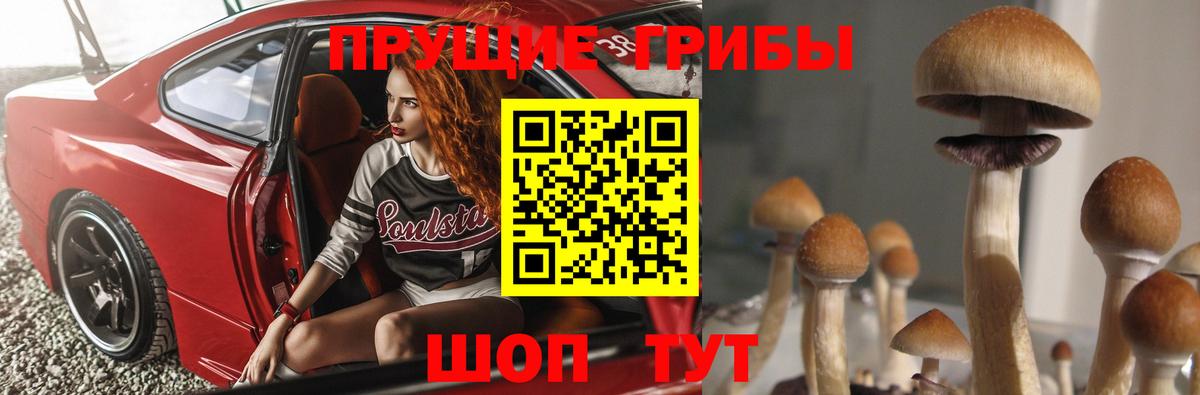 Псилоцибиновые грибы прущие грибы Симферополь